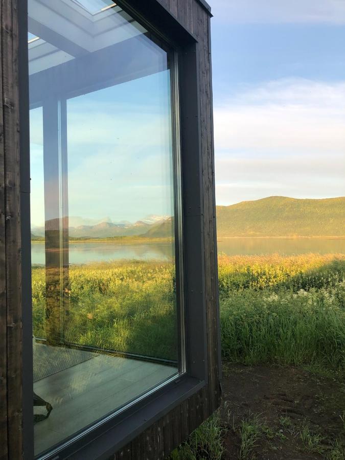 Steigen Lodge Tiny House Zewnętrze zdjęcie